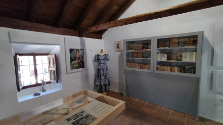La Biblioteca de Emilia Llanos y el vestido de Concha García Lorca en el Concurso del Cante Jondo del 22