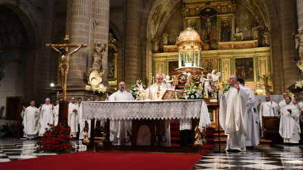 La Iglesia de Jaén da gracias por el pontificado de León XIV: Pastor de unidad, paz y esperanza