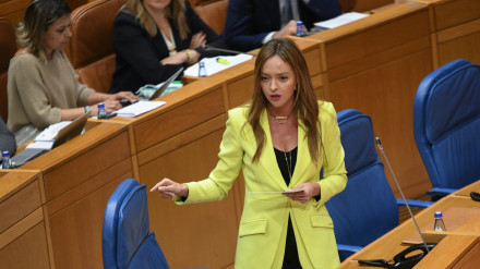 La conselleira de Política Social, Fabiola García, en el Parlamento