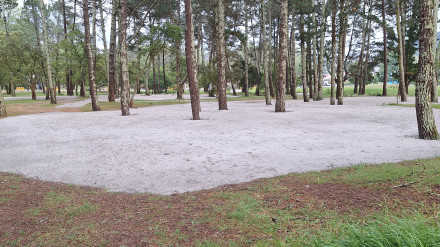 Imagen del pinar de A Magdalena, en Cabanas, con el aporte de arenas
