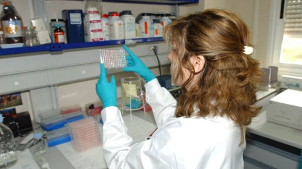 Laboratorio Nacional de Referencia para la influencia aviar de Algete