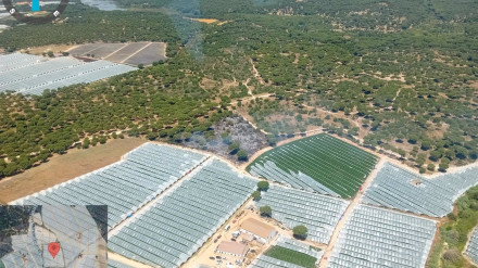 Zona del incendio del paraje La Malvina de Moguer (Huelva)PLAN INFOCA