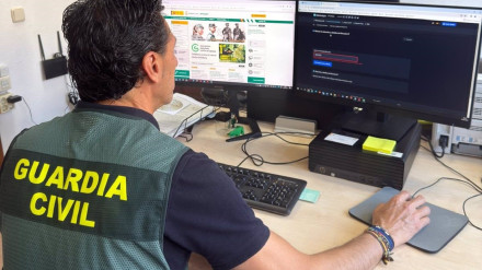 Guardia Civil ha llevado el caso