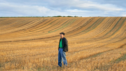 ANDOLLU (ÁLAVA), 09/09/2024.- Un hombre camina por un campo de cereal del pueblo alavés de Andollu a primera hora de este lunes, jornada en la que se esperan cielos muy nubosos en la vertiente cantábrica del País Vasco y nubosos en la mediterránea, sobre todo durante la segunda mitad del día cuando habrá probabilidad de lluvias débiles y ocasionales. EFE/ L. Rico
