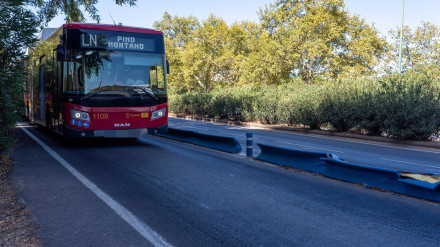 Cuidado con invadir el carril bus-taxi en Sevilla: las cámaras detectarán tu matrícula