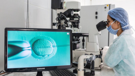 F8BM7N F8BM7N Technician using a light microscope to inject human sperm into a human egg cell (ovum) during in vitro fertilisation (IVF), This technique is known as intracytoplasmic sperm injection (ICSI).