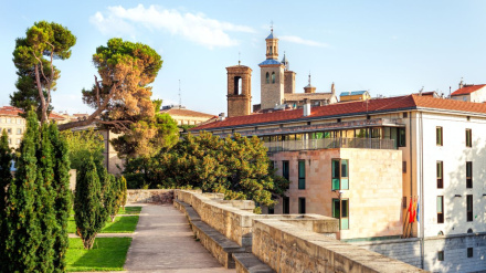 Árboles en Pamplona