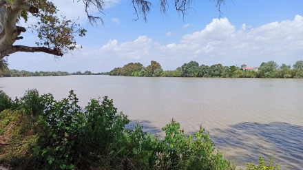 Investigan el hallazgo de unos restos óseos en un canal de riego de Isla Mayor (Sevilla)