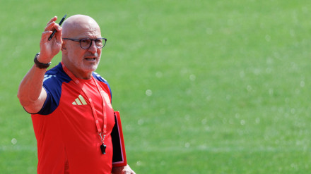 El seleccionador nacional de fútbol, Luis de la Fuente