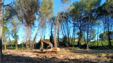 La Confederación Hidrográfica de Júcar lucha por recuperar casi 12 kilómetros de los cauces