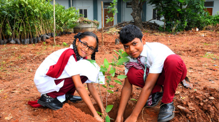 Village Reconstruction Organisation: VRO