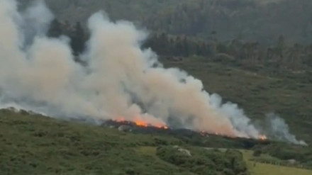 Inicio del incendio este jueves