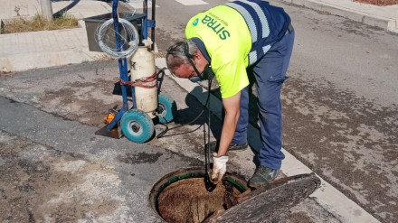Acciones para evitar la proliferación de plagas en Almassora
