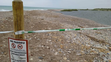 Zona de la playa de les Goles