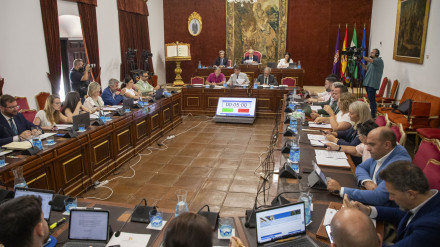 Pleno de la Diputación de Córdoba