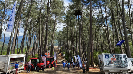 El Monte Armayán, en Tineo, donde se celebra 'Astuforesta'