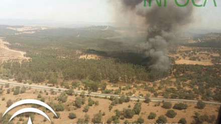 Incendio forestal en Zalamea la Real.
