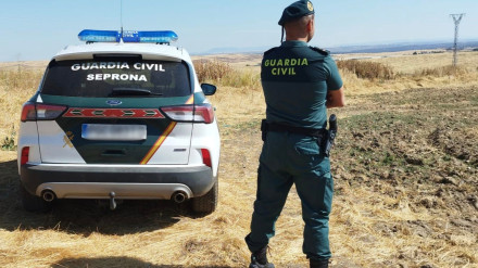 Guardia Civil descubre un entramado ilegal de caza