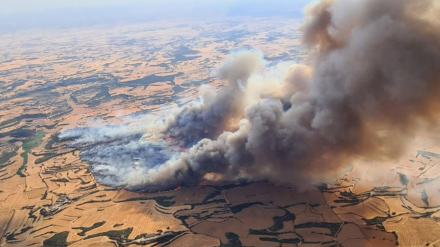 Los Bomberos de la Generalitat afrontan la extinción de dos incendios simultáneos en la comarca de la Segarra, el de Torrefeta i Florejacs que afecta a una superficie de unas 5.000 hectáreas, mientras que el de Sanaüja afecta a unas 40 hectáreas