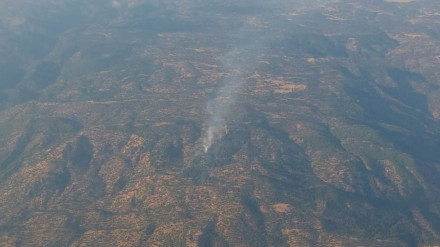 Incendio forestal en la zona de Arroyo Molino Alto..El dispositivo del Plan Infoca para estabilizar el incendio forestal declarado esta tarde en Cardeña (Córdoba) ha sido ampliado de seis a nueve medios aéreos, así como también se han reforzado los efectivos y las unidades terrestres.POLITICA INFOCA
