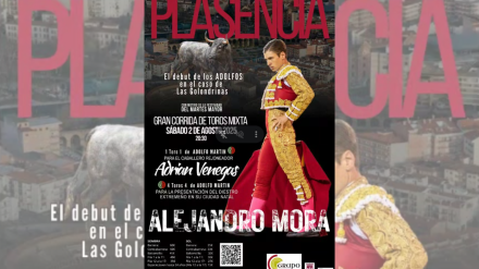 Cartel de los Festejos Taurinos