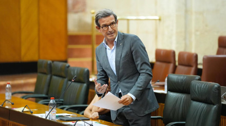El consejero de Industria, Jorge Paradela, en el Parlamento.