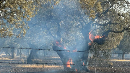 Incendio en Extremadura