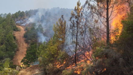Incendio en Caminomorisco