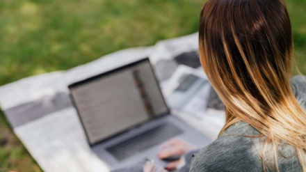 Los bulos nos invaden