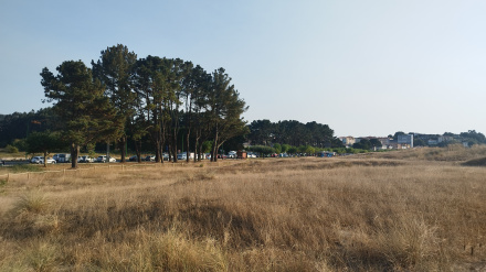 Duna en la Playa Grande de Miño, A Coruña