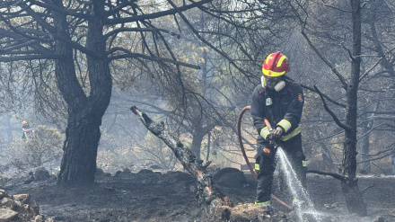 Un bombero trabajando con el fin de controlar el incendioREMITIDA / HANDOUT por EMERGENCIAS 112 MADRIDFotografía remitida a medios de comunicación exclusivamente para ilustrar la noticia a la que hace referencia la imagen, y citando la procedencia de la imagen en la firma13/8/2025