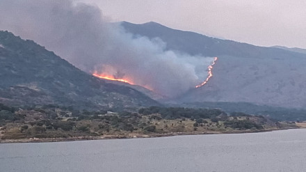 Incendio de Jarilla