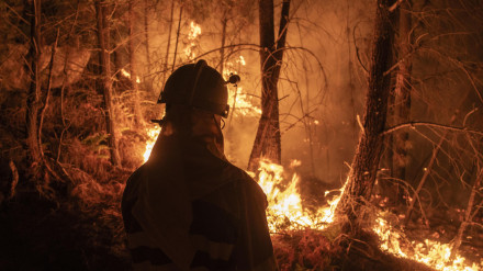 Un bombero forestal observa las llamas del incendio forestal declarado en Oímbra
