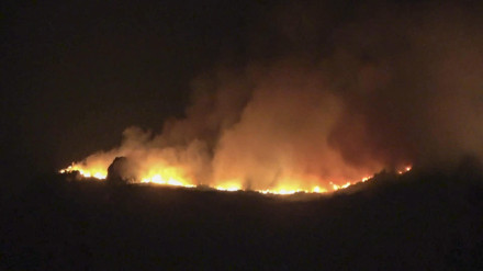 Llamas del incendio de Jarilla (Cáceres)