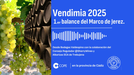 Diario de Vendimia | Primer balance