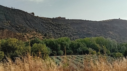 Zona afectada por el incendio del entorno de la Fuente de la Bicha