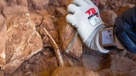 (Foto de ARCHIVO)Archivo - Un arqueólogo trabaja en un yacimiento.EUROPA PRESS - TOMÁS ALONSO29/5/2025