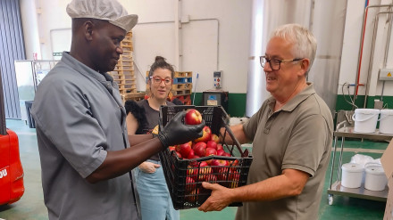 El helado tendrá sabor a una variedad de manzana autóctona gallega