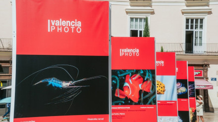 La fotografía submarina de Enrique Talledo llega a ValenciaPhoto con la exposición "Criaturas del Océano"La fotografía submarina del artista y cámara Enrique Talledo llega a ValenciaPhoto con la exposición 'Criaturas del Océano" que reúne una selección de imágenes que "revelan la biodiversidad marina y sus formas singulares".CULTURA OCEANOGRÀFIC