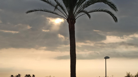 Amanecer nublado en Canet