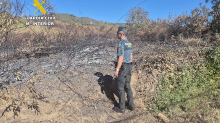 Detenido el presunto autor del incendio forestal intencionado en San Juan de Paluezas (Borrenes)