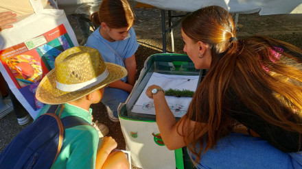 Actividades en la Noche Europea de los Investigadores.