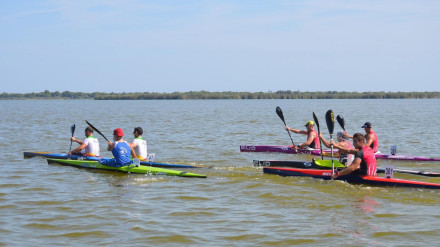 Autorizado el Club de Piragüisme Silla la práctica de piragüismo en l'Albufera.