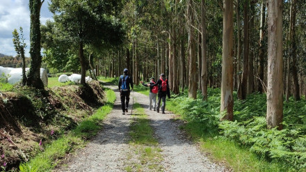 Uno de los tramos del Camiño do Mar que va desde Ribadeo a Santiago de Compostela
