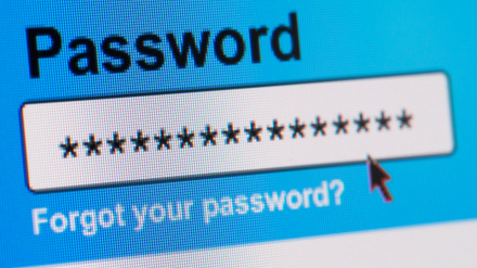DR453M Closeup of Password Box in Internet Browser