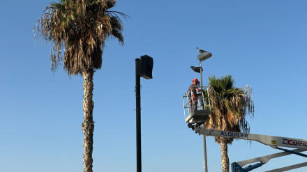 Trabajos de mantenimiento de zonas ajardinadas en Calp, que se reforzarán con la nueva adjudicación de contratos