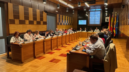 Pleno del Ayuntamiento de Huesca