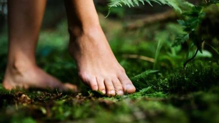 Caminar descalzo sobre la hierba ofrece beneficios como la reducción del estrés y la ansiedad