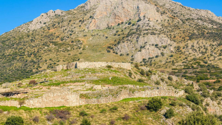 Panther Media Global