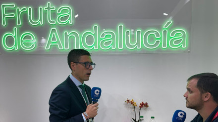 Francisco José Alfaro, presidente de Fruta de Andalucía